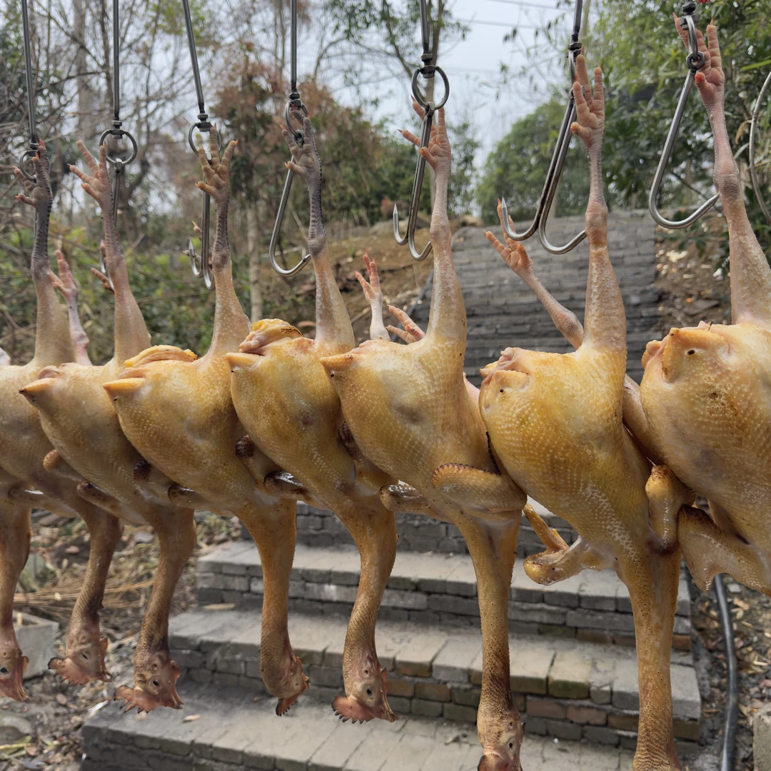 正宗贵州散养2年跑山老母鸡（黄油黑爪）煲汤佳品