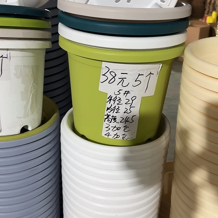 四季5#口径29无托灰白5个