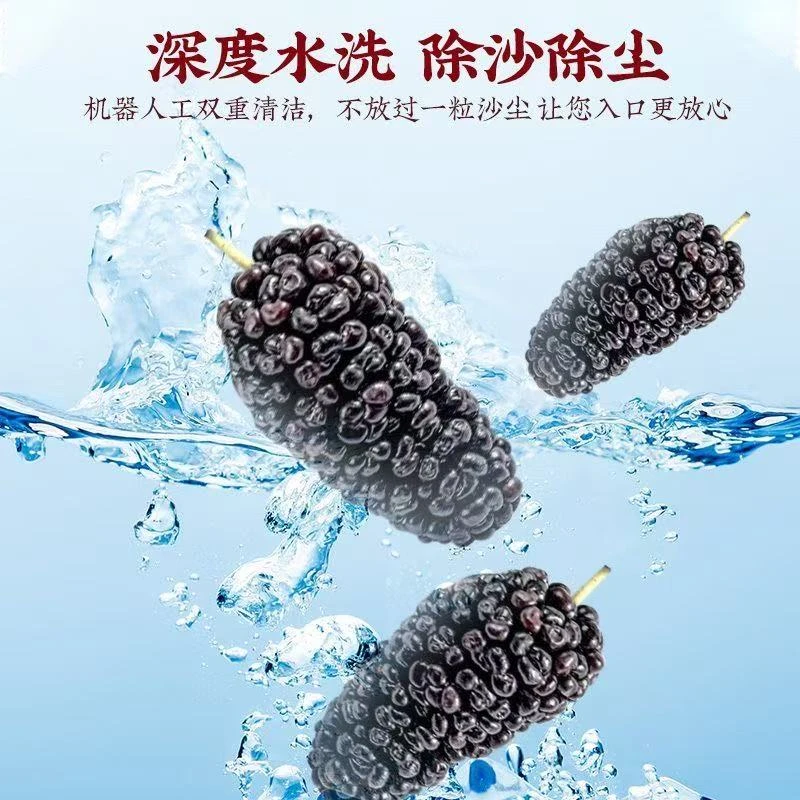 新疆桑葚无沙免洗干果当季黑桑葚250g袋*2