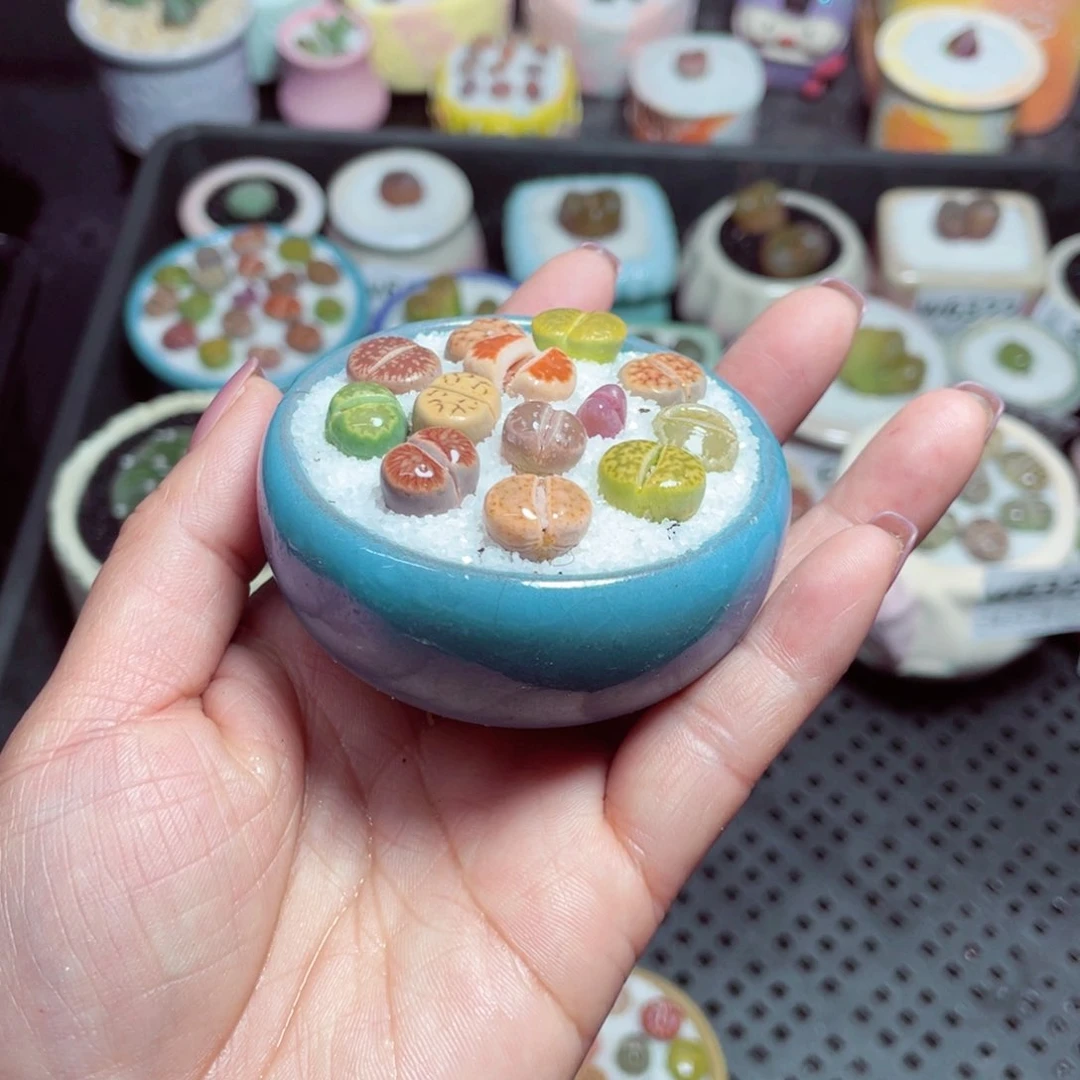 w6332 -零下地区拍保温箱-15支持寄养