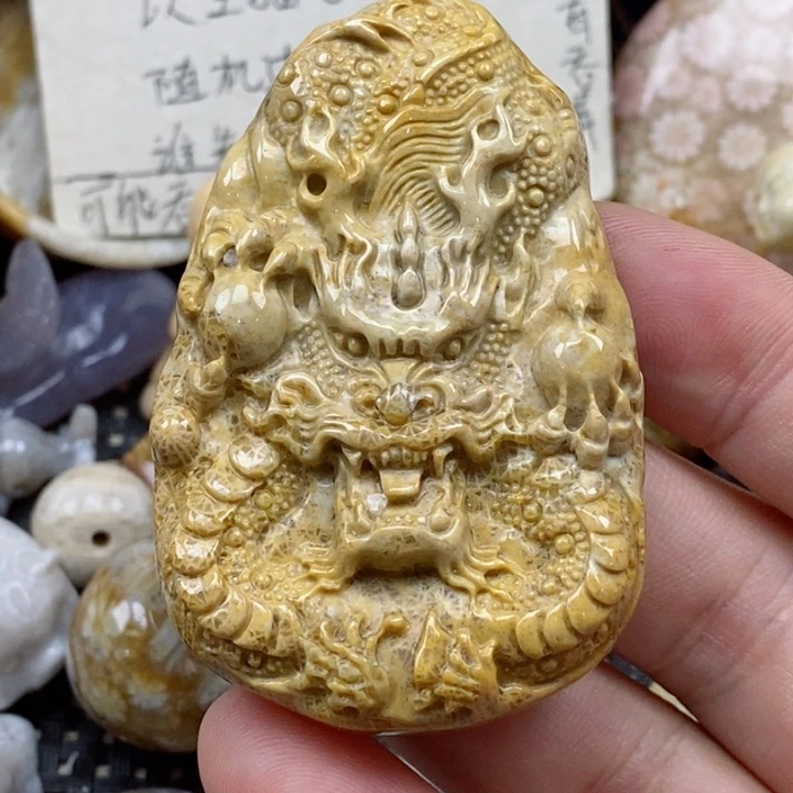 颈饰未镶嵌硅化珊瑚（珊瑚玉）