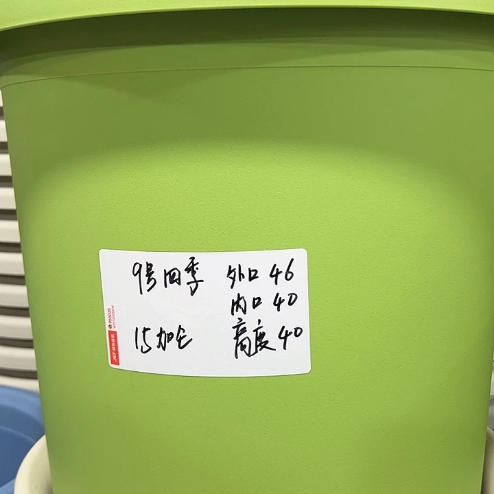 特价9四季口46高40果绿无托4只