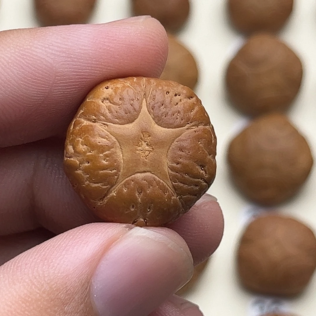 王***器凤眼菩提吊坠5星打孔不退换