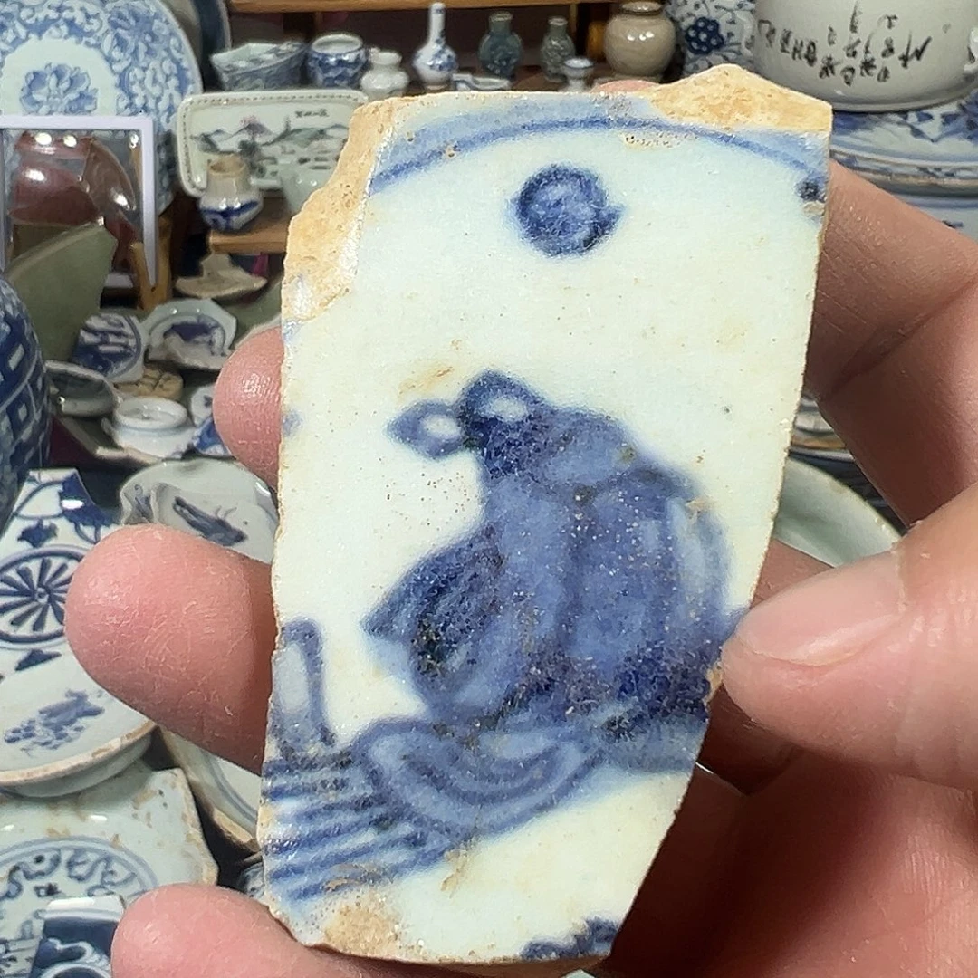 瓷片瓷片标本，全场包邮