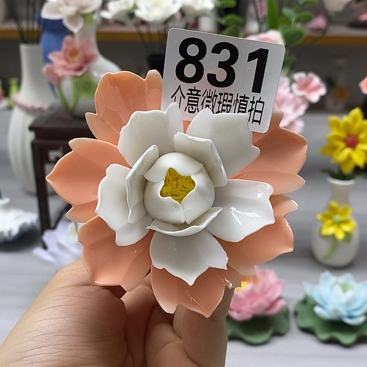 陶瓷陶瓷材料加工