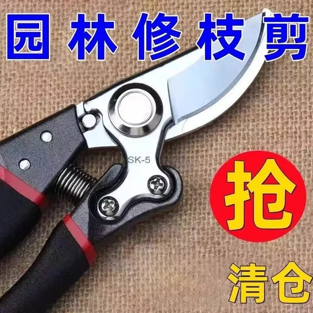 工艺剪树剪子德系果树剪枝枝条剪修枝剪花木葡萄修剪剪子家用省力