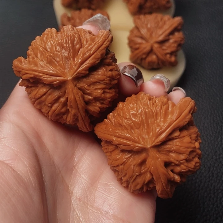 流****居核桃核桃核桃核桃