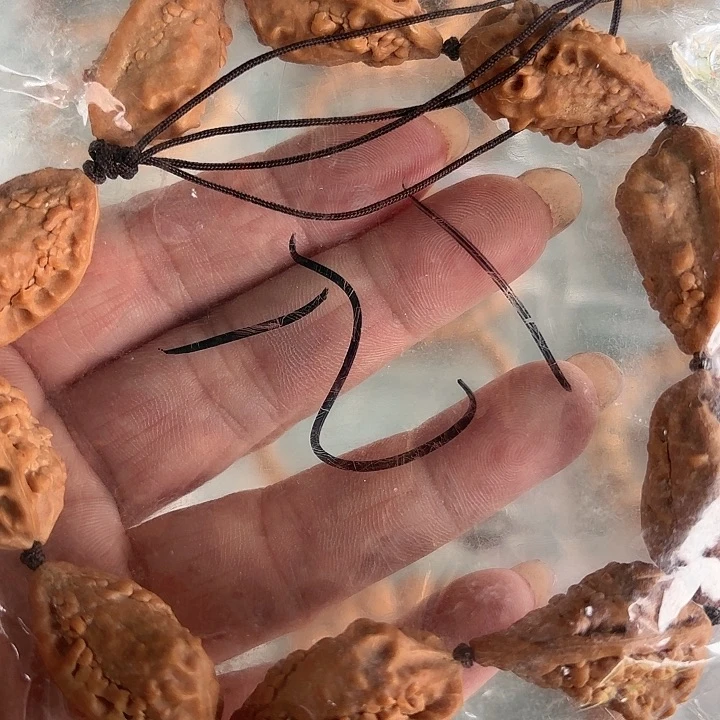 手串桃核野生小核桃脚手串，