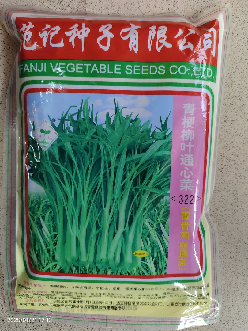 500克范记青梗柳叶通心菜322空心菜种籽细叶青骨鸡丝通菜种子