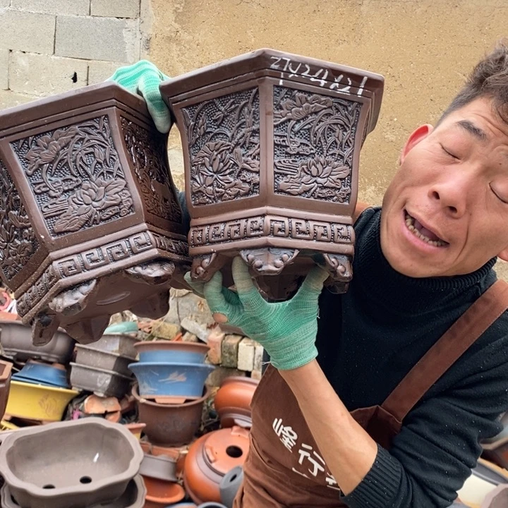 红陶这样我也可以去看电影