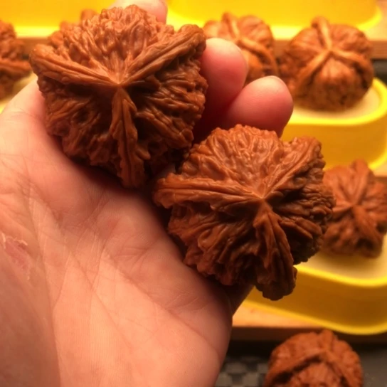 高***哥核桃核桃核桃核桃核桃核桃