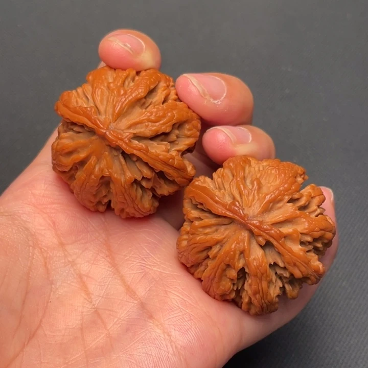 秦岭野生核桃文玩