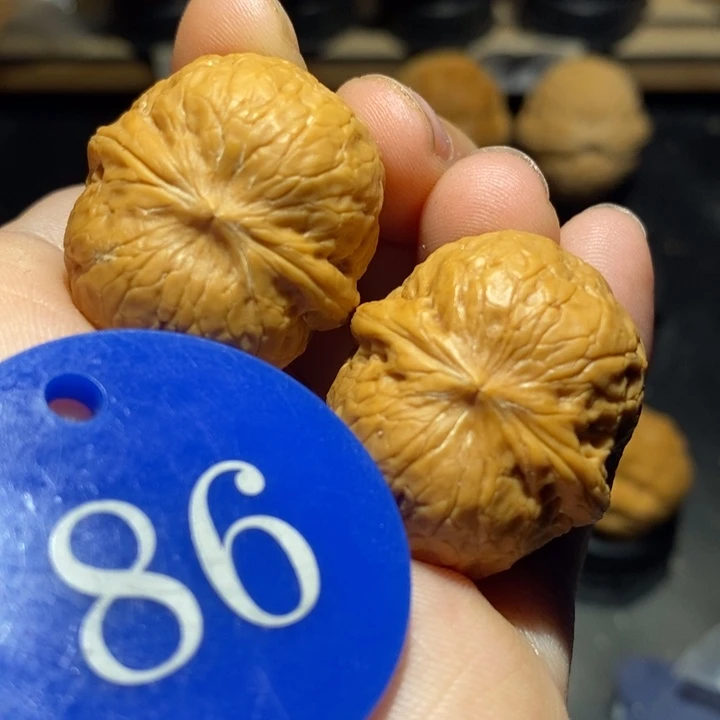 铃铛30尺寸核桃。