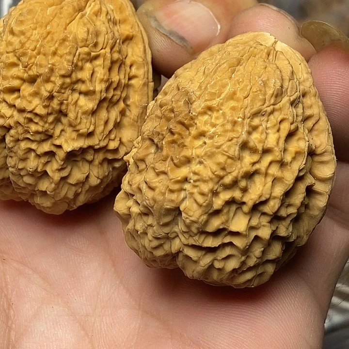 把件文玩核桃云南铁核桃35