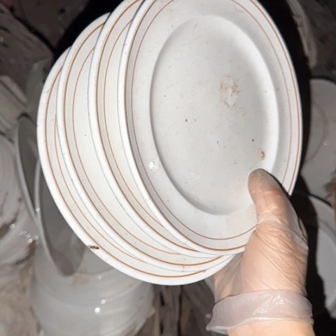 瓷片国营厂库存微瑕19厘米4