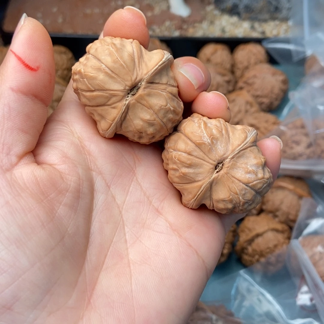 吊坠文玩核桃龟甲纹15