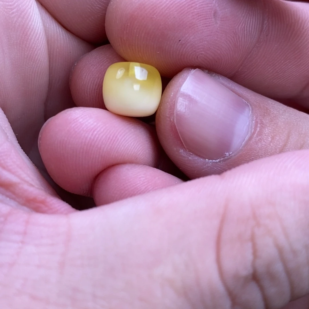 蜜蜡裸石未镶嵌茶**器