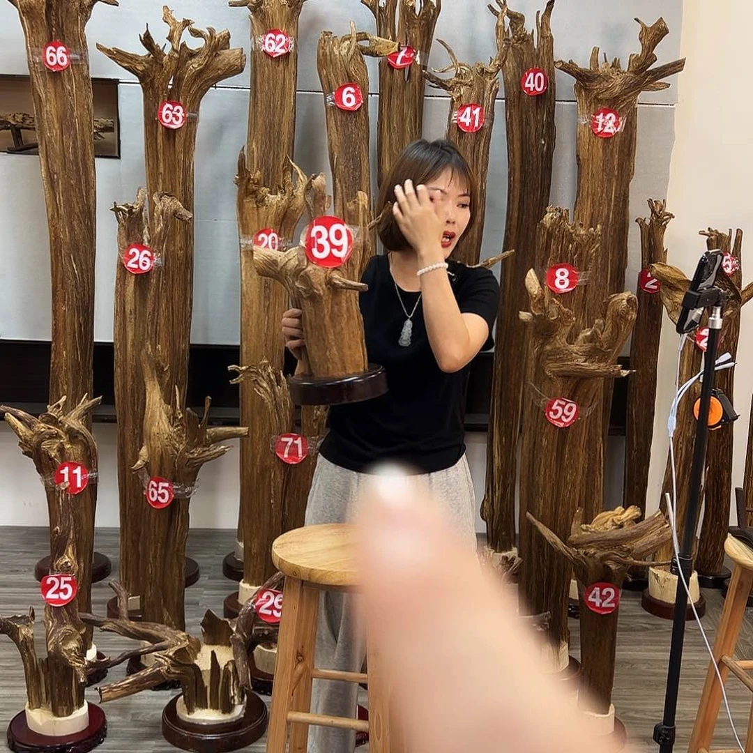 摆件沉香沉香摆件