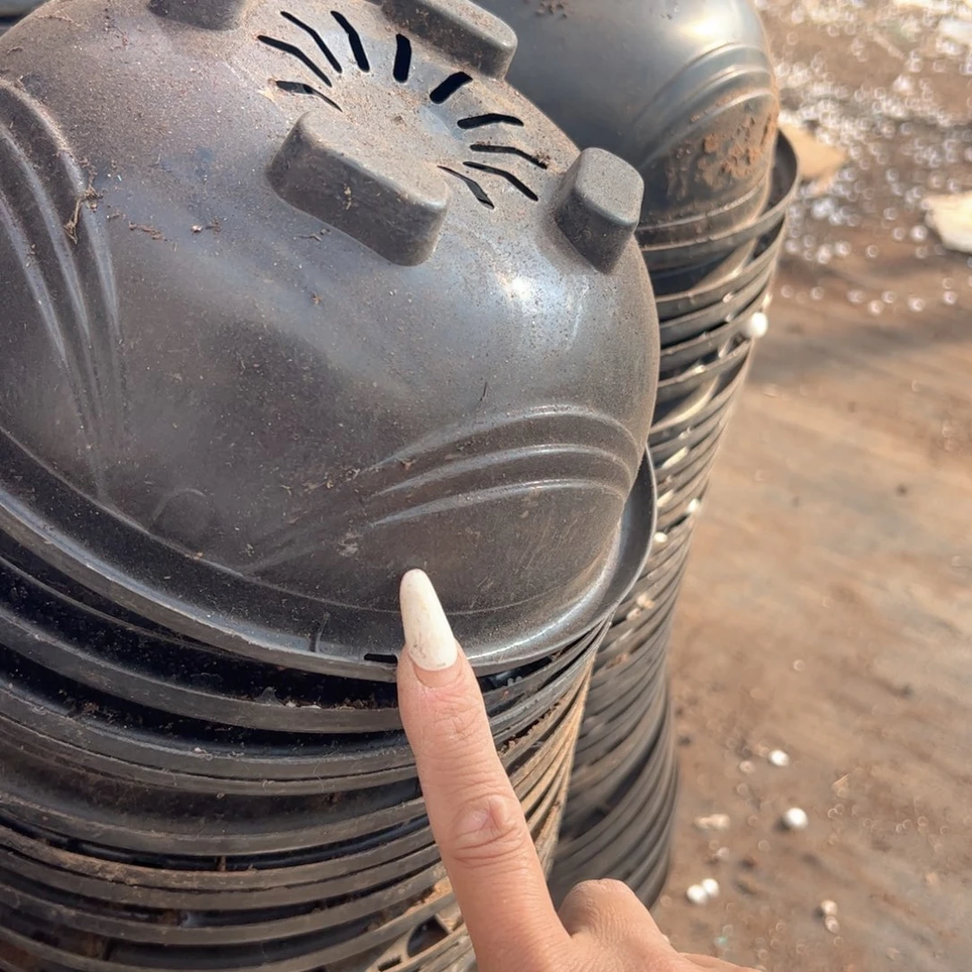 黑吊兰盆21口径10高 11个