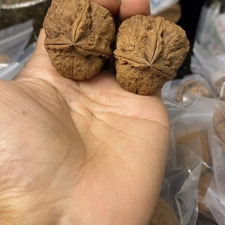 核桃云南铁核桃基地69
