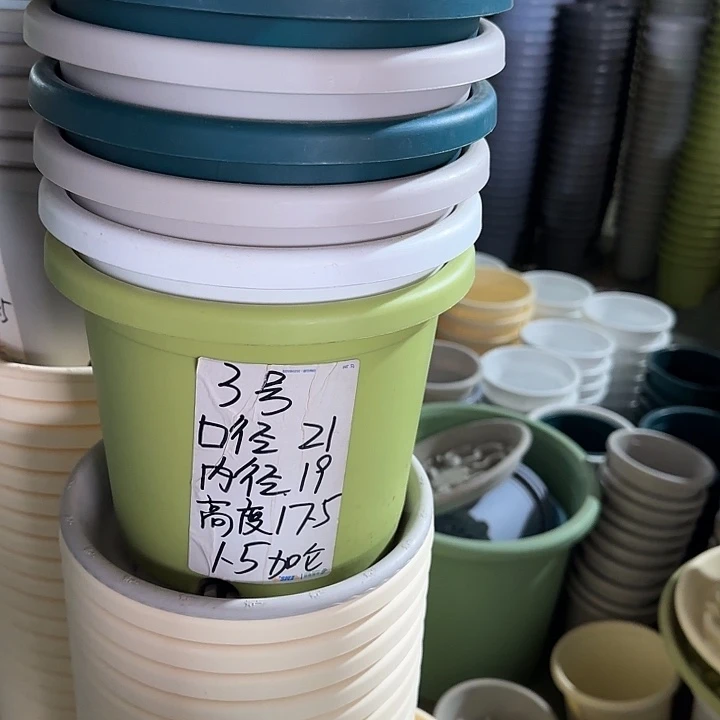 微瑕3#口径21无托果绿6个