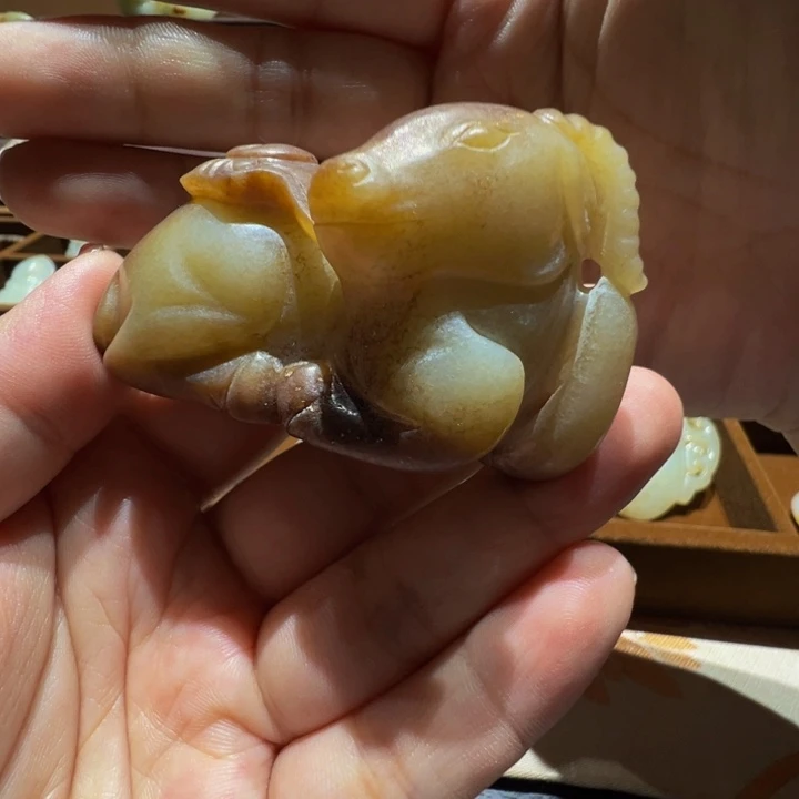 少***游勒子勒子勒子勒子勒子勒子勒子