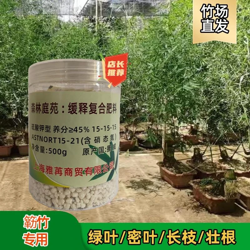 小叶簕竹专用肥料促芽生根防治叶子发黄干尖掉叶黄叶竹子专用