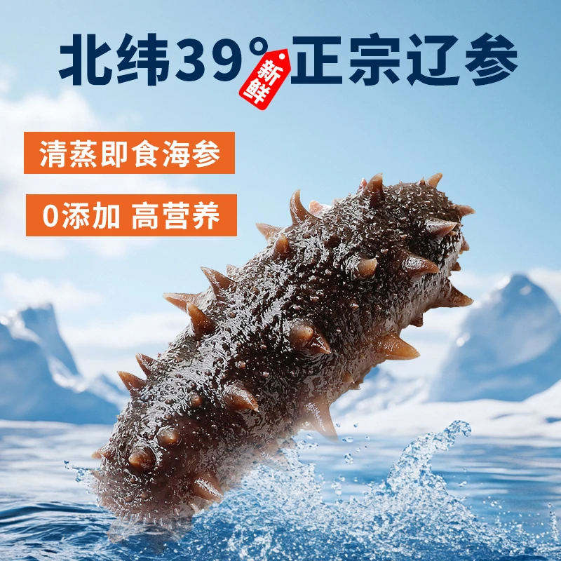 【鲜蒸即食海参】正宗大连冷冻辽参4-12头