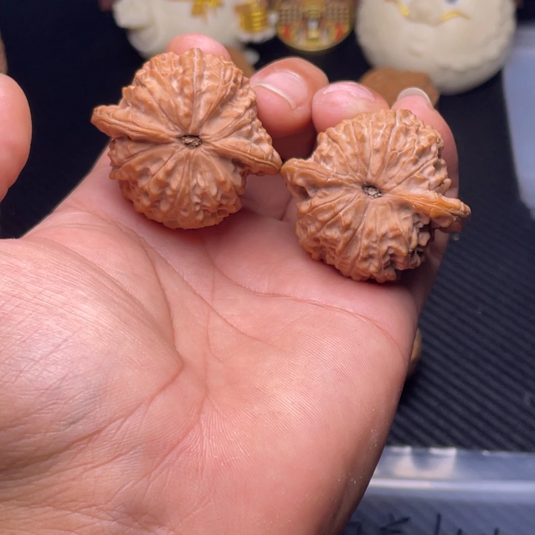 抱****血麒麟，嘎嘎牛逼，嘎嘎板正