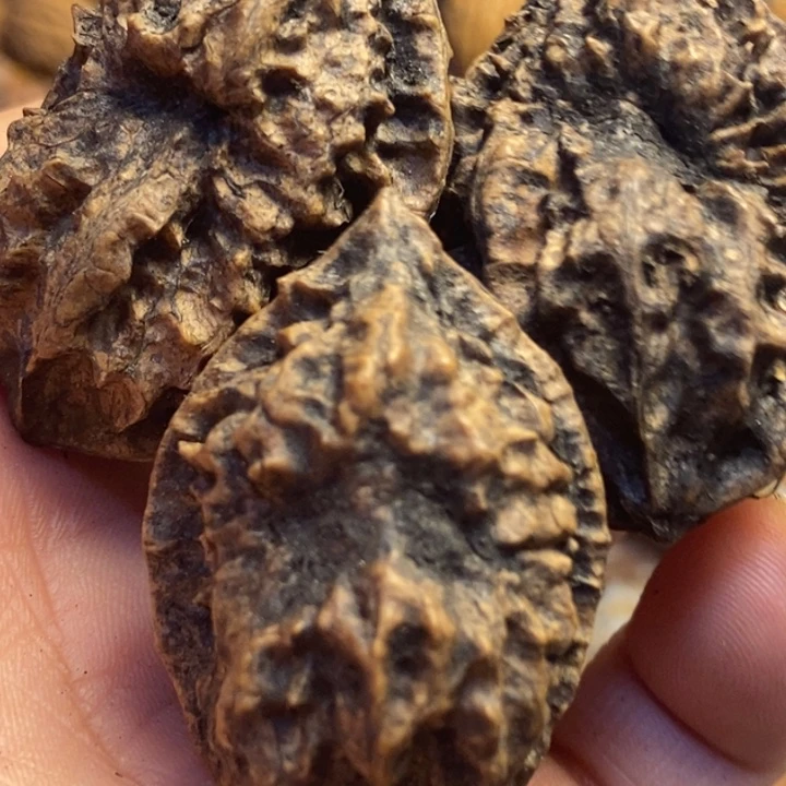 文玩核桃吊坠东北特产219