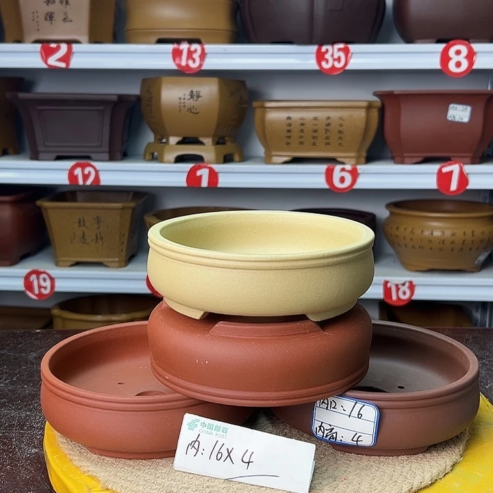 花盆紫砂你在一起