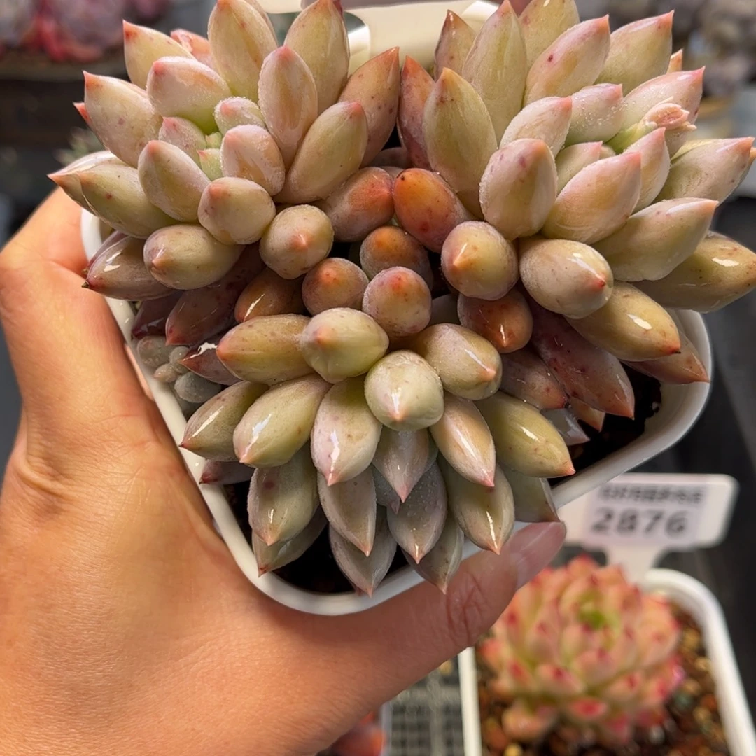 2880 满30包邮天冷地区必拍保温箱