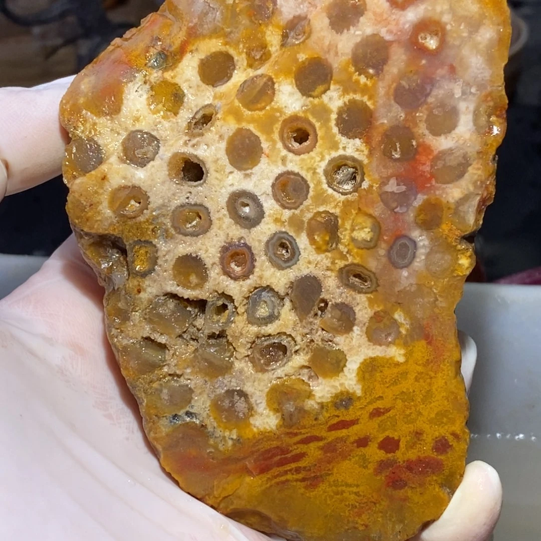 【闪购商品】硅化玉珊瑚玉未镶嵌