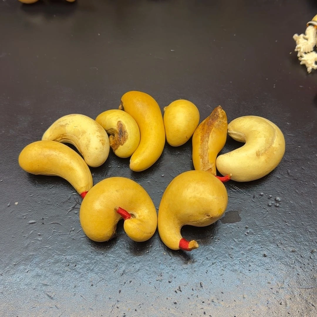 来*哈哈哈哈哈哈哈哈哈