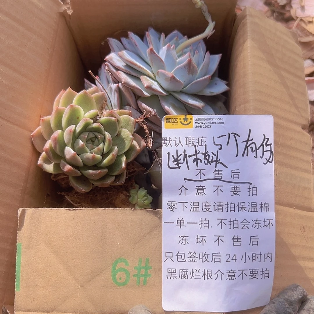 乱七八糟的一箱默认瑕疵断枝