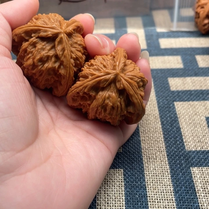 山***～核桃白狮子40核桃