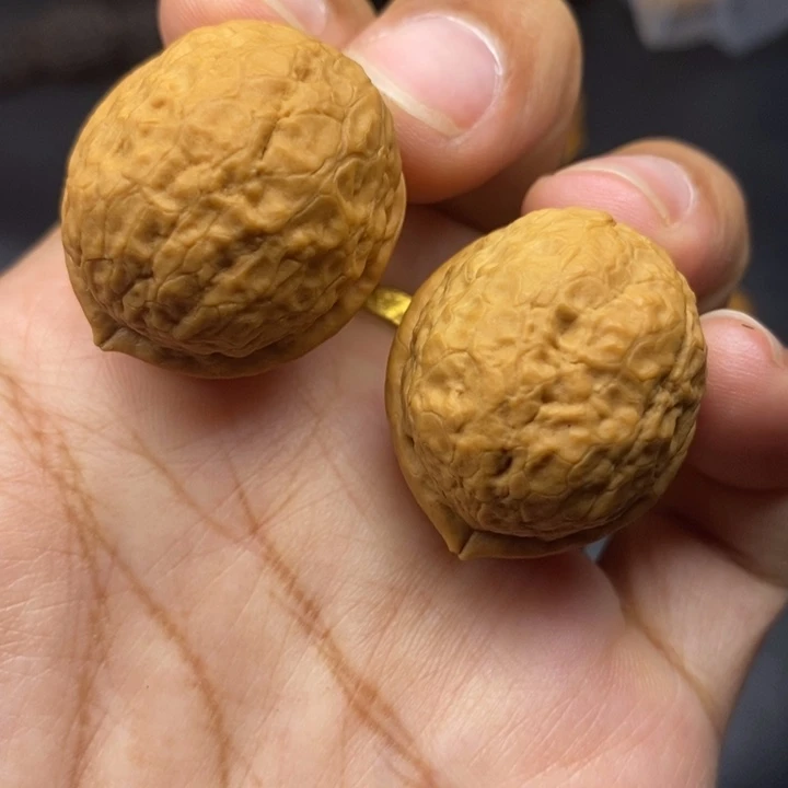 文玩核桃把件28尺鸽子蛋