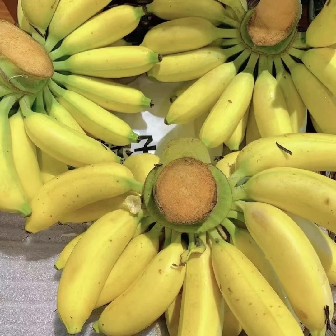 皇帝蕉（一箱）13.8元