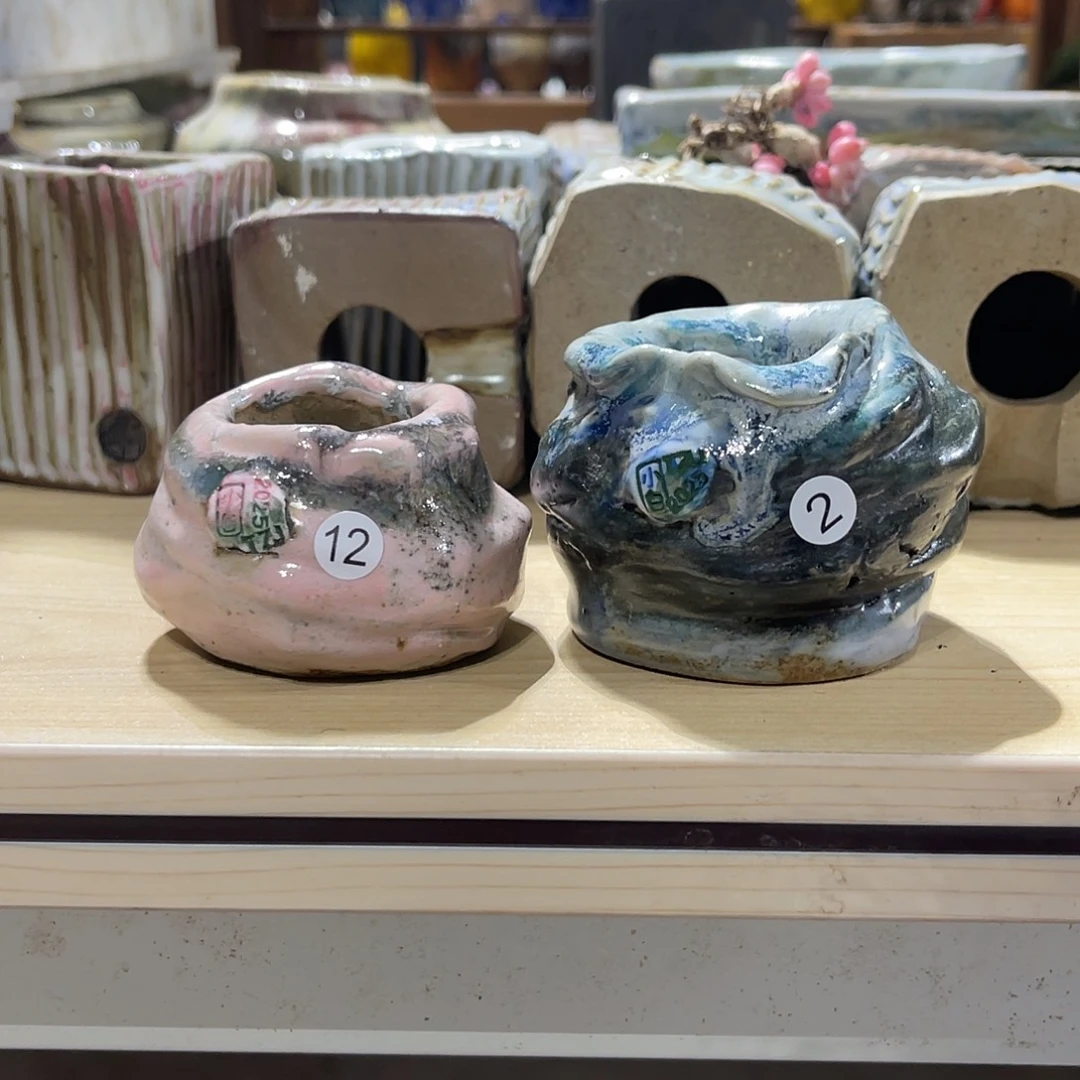 菜***姐两个小白孤品内口3-3.5