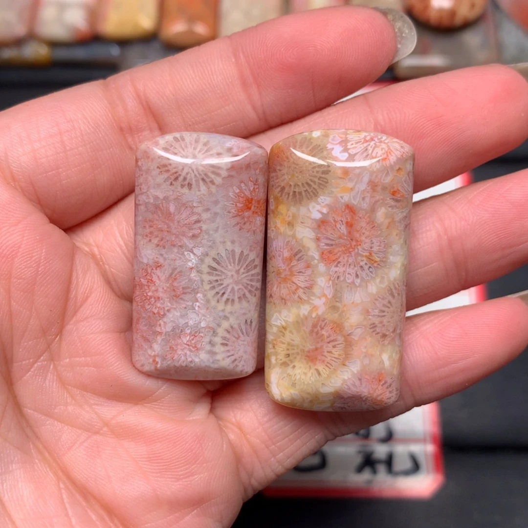 【闪购商品】未镶嵌颈饰硅化玉高****1
