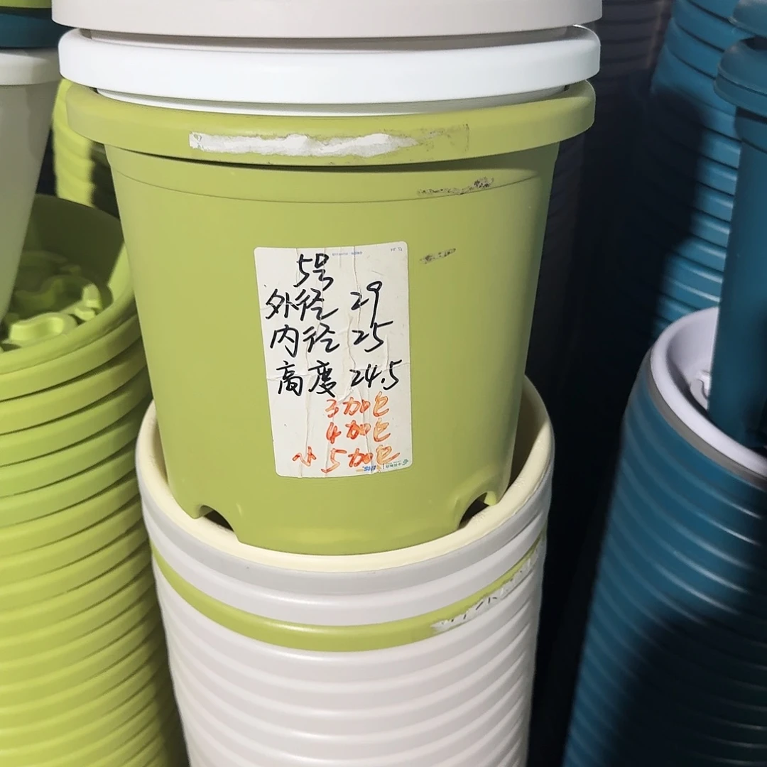 微瑕果绿色5号无拖6个