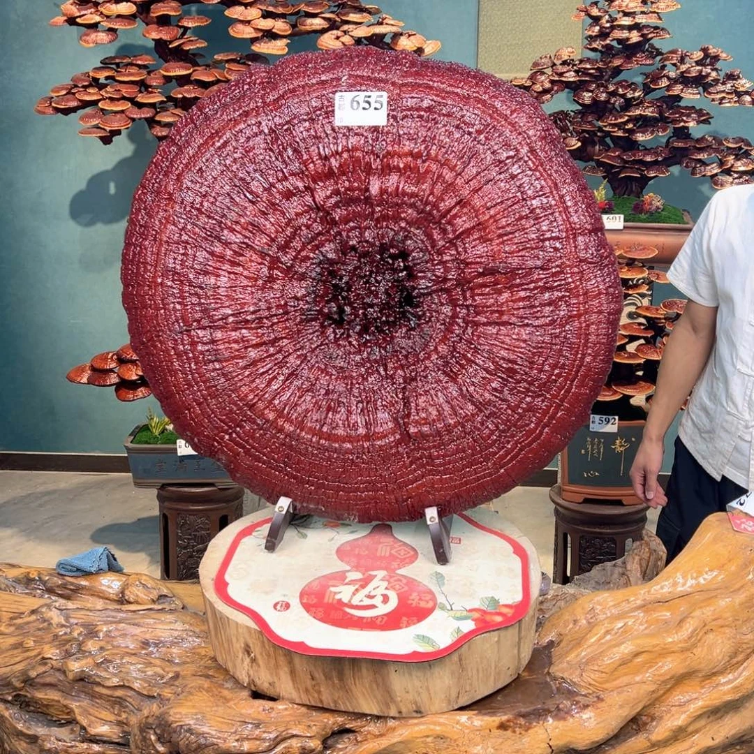 无花朵488888888888