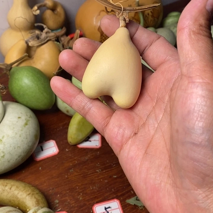 口***馆牙牙青皮腰子手把件葫芦