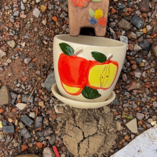 冬***天核桃木/黑胡桃（胡桃木）