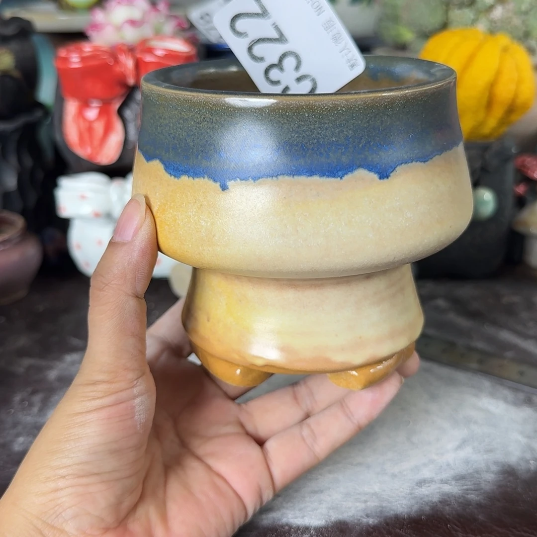 重庆小燕子欢迎大家322