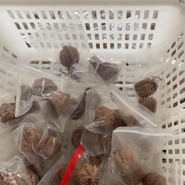 吊坠文玩核桃南疆瑕疵
