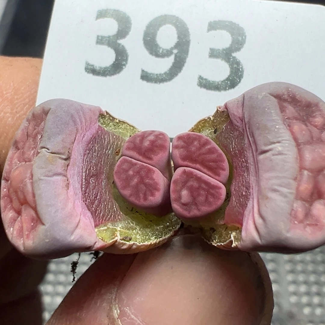 【闪购商品】 393。