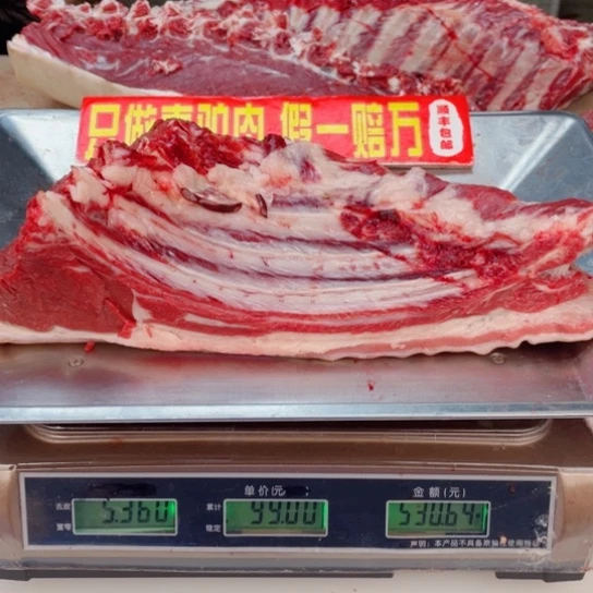 【闪购商品】冷冻保存30天包装河北省