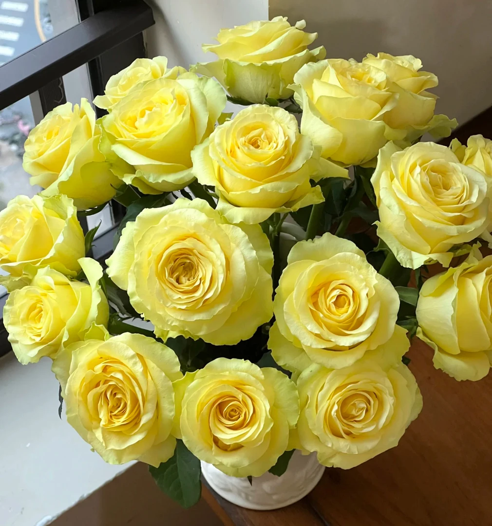 【浪漫沙滩玫瑰AK】黄色单头玫瑰10枝 |任意满两单鲜花包邮