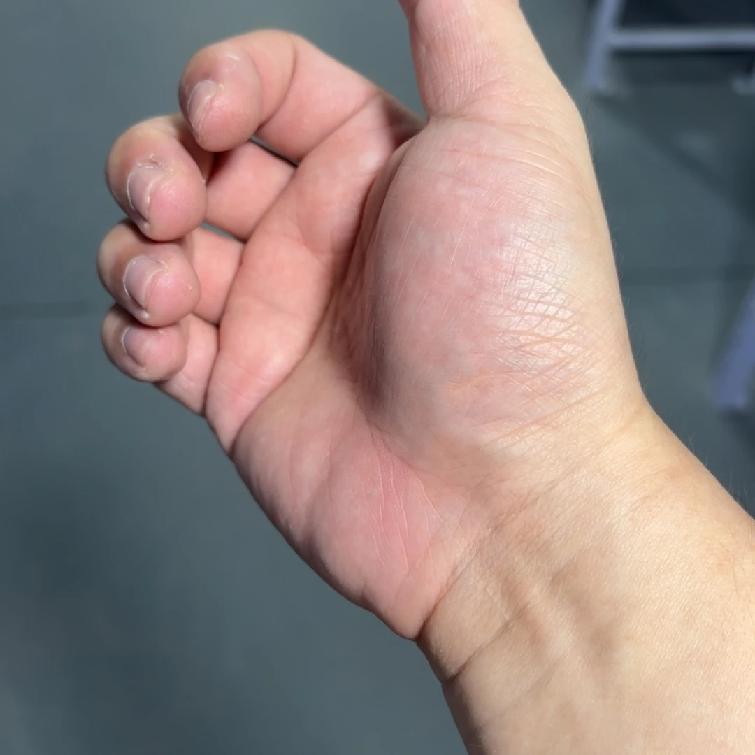 杯用****4瓷言所老曹甄选好瓷